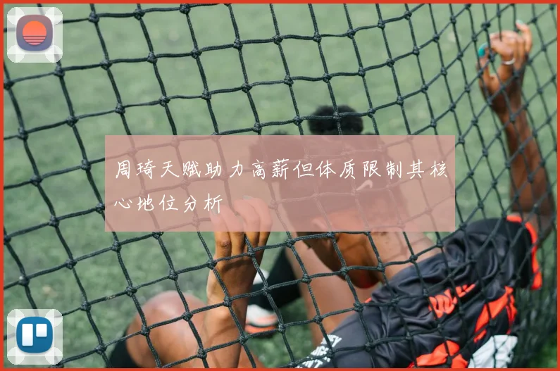 周琦天赋助力高薪但体质限制其核心地位分析