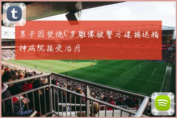 男子因焚烧C罗雕像被警方逮捕送精神病院接受治疗