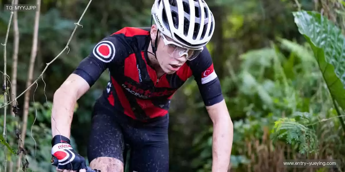 🏆全球赛事，一键直达！⚽️